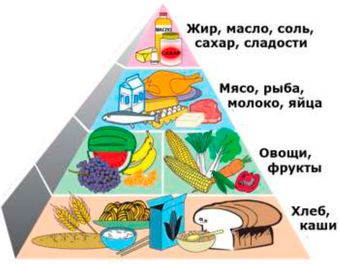 Информация об условиях питания обучающихся.